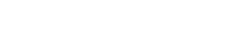 F1RST Automotive